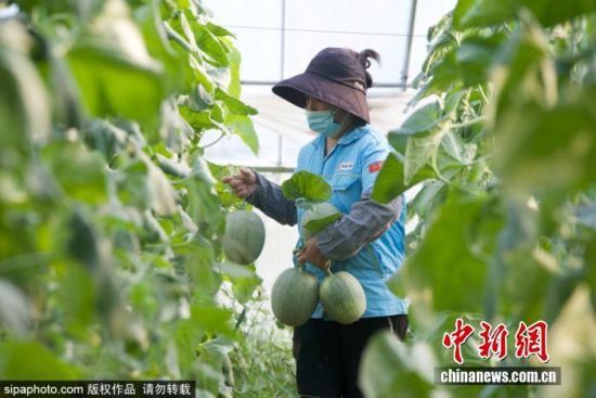 924ɽ|IλڞIſhꖽֵF(xin)r(nng)I(y)a(chn)I(y)@(ni)Ĺܹӭի@r(nng)ץr(nng)r_չr(nng)g^һɷæZ z