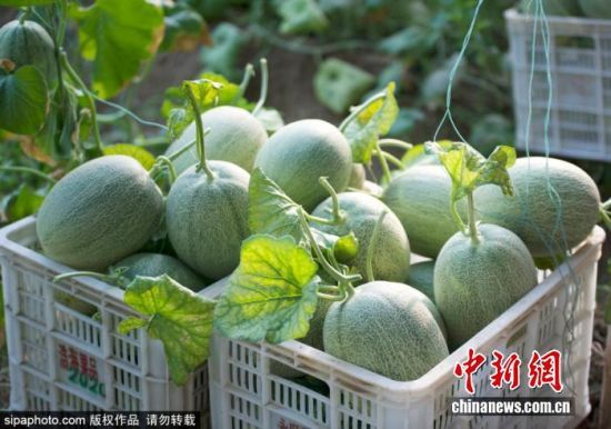 924ɽ|IλڞIſhꖽֵF(xin)r(nng)I(y)a(chn)I(y)@(ni)Ĺܹӭի@r(nng)ץr(nng)r_չr(nng)g^һɷæZ z