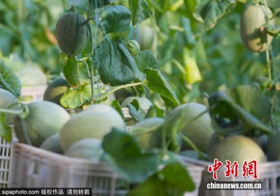 924գɽ|IλڞIſhꖽֵF(xin)r(nng)I(y)a(chn)I(y)@(ni)Ĺܹӭի@r(nng)ץr(nng)r_չr(nng)g^һɷæZ z