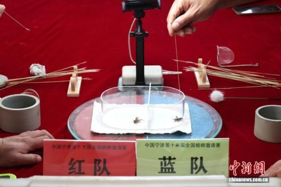 101գɽ|򣬌ʮȫՈِ]ĻϺ򡢺ӱɽ|ȵص12֧酢cԡx硱DِF(xin) z