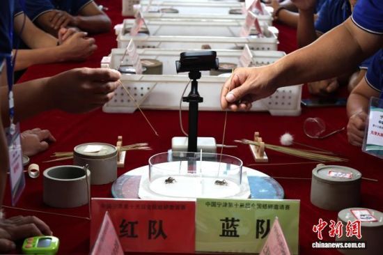 101ɽ|ʮȫՈِ]ĻϺ򡢺աӱɽ|ȵص12֧酢cԡx硱DِF(xin) z