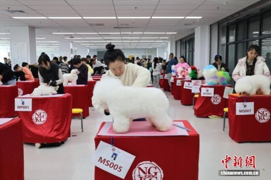 1023ɽ|(j)ϣ׌áȪی{ɰ(j)ϣo(h)ِܱ_ِԺ{ɰąِxւ@O(sh)Ӌ(j)坍޼ȼչ_ӛ  z