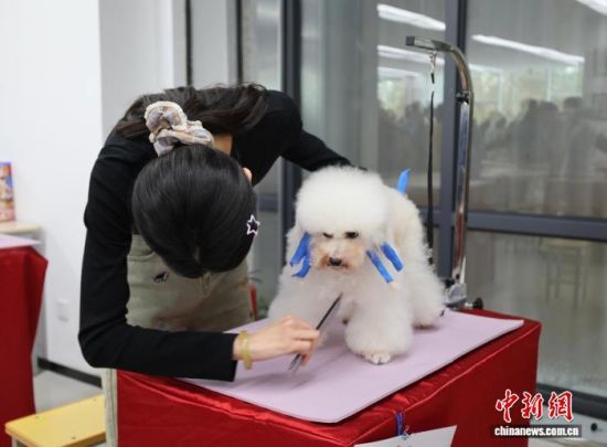 1023ɽ|(j)׌áȪی{ɰ((j))o(h)ِܱ_ِԺ{ɰąِxւ@O(sh)Ӌ(j)坍޼ȼչ_ӛ  z