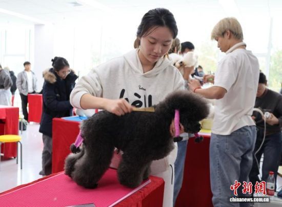 1023ɽ|(j)׌áȪی{ɰ((j))o(h)ِܱ_ِԺ{ɰąِxւ@O(sh)Ӌ(j)坍޼ȼչ_ӛ  z