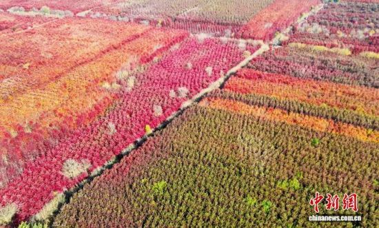 111ɽ|ʡuRǧtֱMȾD鮔(dng)?sh)ǧto˙C(j)ƬM(jn) z