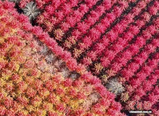 111գɽ|ʡuRǧtֱMȾD鮔(dng)?sh)ǧt(o˙C(j)Ƭ)M(jn) z