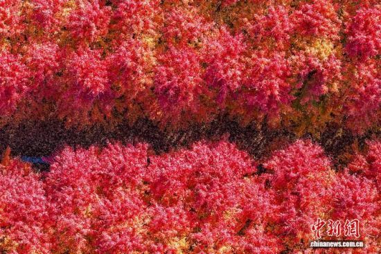 111գɽ|ʡuRǧtֱMȾD鮔(dng)?sh)ǧt(o˙C(j)Ƭ)M(jn) z 