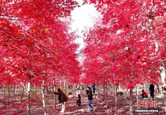 111գɽ|ʡuRǧtֱMȾDοڼtM(jn) z