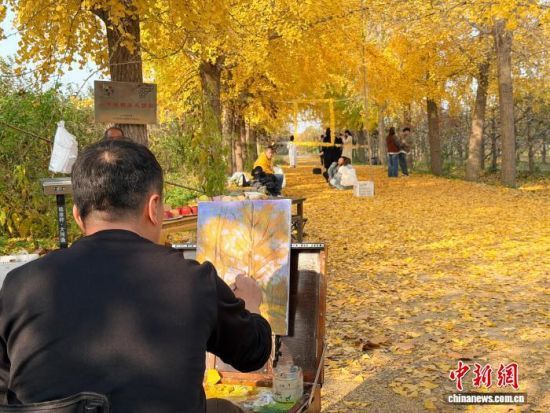 1114ɽ|ʝ^(q)RX(zhn)ĽB(ti)@M(jn)L(chung)ͯһ  z 