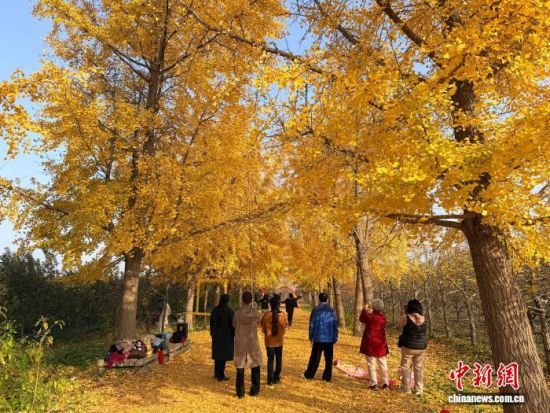 1114ɽ|ʝ^(q)RX(zhn)ĽB(ti)@̤ͯһ  z 