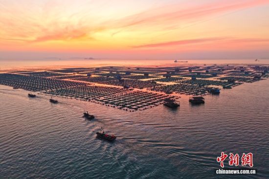 �D/CNSphoto �O��̶ �z