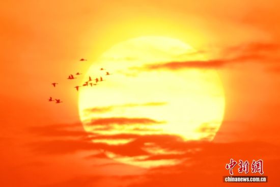 1022ɽ|uՕr(sh)(ji)ȺB輯uгꖅ^(q)׽ֵILһB(ti)DȺҰڼtgD/ҕXЇ