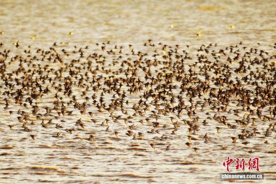 1022ɽ|uՕr(sh)(ji)ȺB輯uгꖅ^(q)׽ֵILһB(ti)DȺڸIںwD/ҕXЇ