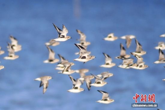 1022ɽ|uՕr(sh)(ji)ȺB輯uгꖅ^(q)׽ֵIأLһB(ti)DȺҰaںwD/ҕXЇ