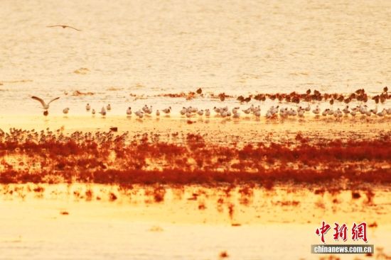 1022ɽ|uՕr(sh)(ji)ȺB輯uгꖅ^(q)׽ֵILһB(ti)DȺttȺBϢڼtD/ҕXЇ