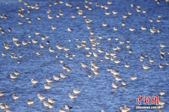 1022ɽ|uՕr(sh)(ji)ȺB輯uгꖅ^(q)׽ֵILһB(ti)DȺҰaڜ\ˮ^(q)ϢD/ҕXЇ