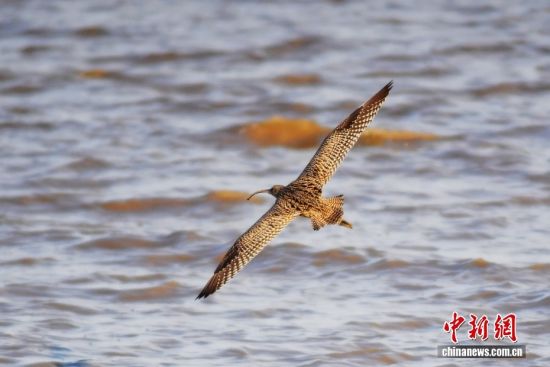 1022ɽ|uՕr(sh)(ji)ȺB輯uгꖅ^(q)׽ֵILһB(ti)DһֻںwD/ҕXЇ