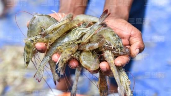  (dng)?sh)ؕr(sh)g2025828գӡȰ(ni)堖hһrB(yng)ֳ(ni)rD/ҕXЇ