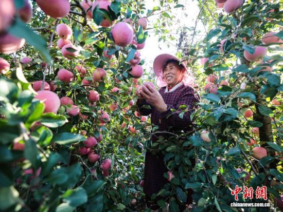 r(sh)(ji)ɽ|ʡsЂɽ(gu)Ҽ(j)ɭֹ@һ̎O@r(nng)æ֒Oһɷæ?qng)D(li)(dng)?sh)Oa(chn)I(y)ʬF(xin)Ҏ(gu)ģl(f)չ(bio)(zhn)a(chn)C(j)еI(y)c(din)(yu)|(zh)ON(gu)(ni)ž z