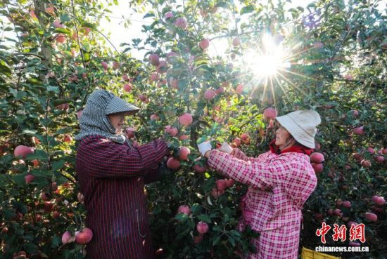 r(sh)(ji)ɽ|ʡsЂɽ(gu)Ҽ(j)ɭֹ@һ̎O@r(nng)æ֒Oһɷæ?qng)D(li)(dng)?sh)Oa(chn)I(y)ʬF(xin)Ҏ(gu)ģl(f)չ(bio)(zhn)a(chn)C(j)еI(y)c(din)(yu)|(zh)ON(gu)(ni)ž z