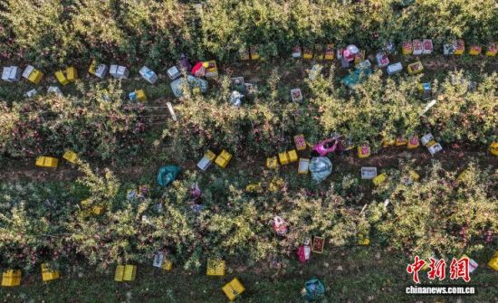 r(sh)(ji)ɽ|ʡsЂɽ(gu)Ҽ(j)ɭֹ@һ̎O@r(nng)æ֒Oһɷæ?qng)D(li)(dng)?sh)Oa(chn)I(y)ʬF(xin)Ҏ(gu)l(f)չ(bio)(zhn)a(chn)C(j)еI(y)c(din)(yu)|(zh)ON(gu)(ni)ž z