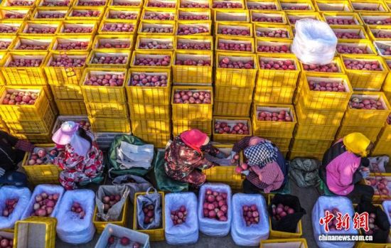 r(sh)(ji)ɽ|ʡsЂɽ(gu)Ҽ(j)ɭֹ@һ̎O@r(nng)æա֒Oһɷæ?qng)D(li)(dng)?sh)Oa(chn)I(y)ʬF(xin)Ҏ(gu)l(f)չ(bio)(zhn)a(chn)C(j)еI(y)c(din)(yu)|(zh)ON(gu)(ni)ž z