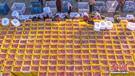 r(sh)(ji)ɽ|ʡsЂɽ(gu)Ҽ(j)ɭֹ@һ̎O@r(nng)æ֒Oһɷæ?qng)D(li)(dng)?sh)Oa(chn)I(y)ʬF(xin)Ҏ(gu)l(f)չ(bio)(zhn)a(chn)C(j)еI(y)c(din)(yu)|(zh)ON(gu)(ni)ž z