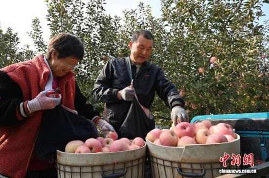 1029Ї(gu)O֮ɽ|_(ti)ϼеĹ@tͮͮOYM֦^r(nng)æժ֒b\(yn)O10ѮԁЇ(gu)Oa(chn)^(q)_(ti)ϼӭһ۵ĲռOm(x)M(jn)ĿǰϼOe_(d)100fN60(g)(gu)Һ͵؅^(q)J z