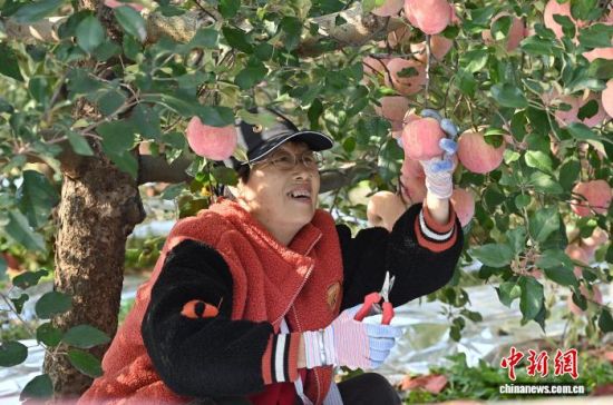 1029Ї(gu)O֮ɽ|_(ti)ϼеĹ@tͮͮOYM֦^r(nng)æժ֒b\(yn)O10ѮԁЇ(gu)Oa(chn)^(q)_(ti)ϼӭһ۵ĲռOm(x)M(jn)ĿǰϼOe_(d)100fN60(g)(gu)Һ͵؅^(q)J z