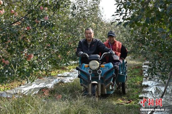 1029Ї(gu)O֮ɽ|_(ti)ϼеĹ@tͮͮOYM֦^r(nng)æժ֒b\(yn)O10ѮԁЇ(gu)Oa(chn)^(q)_(ti)ϼӭһ۵ĲռOm(x)M(jn)ĿǰϼOe_(d)100fN60(g)(gu)Һ͵؅^(q)J z