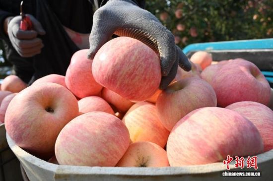 1029գЇ(gu)O֮ɽ|_(ti)ϼеĹ@tͮͮOYM֦^r(nng)æժ֒b\(yn)O10ѮԁЇ(gu)Oa(chn)^(q)_(ti)ϼӭһ۵ĲռOm(x)M(jn)ĿǰϼOe_(d)100fN60(g)(gu)Һ͵؅^(q)J z