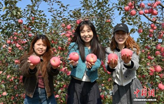 1029Ї(gu)O֮ɽ|_(ti)ϼеĹ@tͮͮOYM֦^r(nng)æժ֒b\(yn)O10ѮԁЇ(gu)Oa(chn)^(q)_(ti)ϼӭһ۵ĲռOm(x)M(jn)ڡĿǰϼOe_(d)100fN60(g)(gu)Һ͵؅^(q)J z