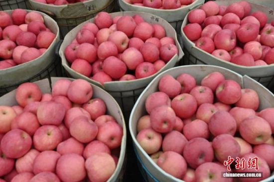 1029Ї(gu)O֮ɽ|_(ti)ϼеĹ@tͮͮOYM֦^r(nng)æժ֒b\(yn)O10ѮԁЇ(gu)Oa(chn)^(q)_(ti)ϼӭһ۵ĲռOm(x)M(jn)ĿǰϼOe_(d)100fN60(g)(gu)Һ͵؅^(q)J z