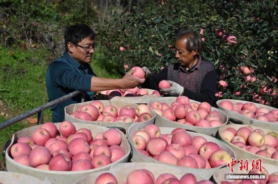 1029գЇ(gu)O֮ɽ|_(ti)ϼеĹ@tͮͮOYM֦^r(nng)æժ֒b\(yn)O10ѮԁЇ(gu)Oa(chn)^(q)_(ti)ϼӭһ۵ĲռOm(x)M(jn)ĿǰϼOe_(d)100fN60(g)(gu)Һ͵؅^(q)J z