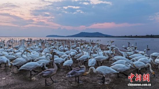 ˪r(sh)(ji)ɽ|sɴZ(gu)Ҽ(j)Ȼo(h)^(q)ӭ(li)wԽġѡȺY(ji)(du)ĴZwZ_(ki)Խ֮`(dng)ӰcӳȤɞB(nio)w·ϳM(mn)C(j)B(ti)L(fng)o(w)˙C(j)Ƭž z