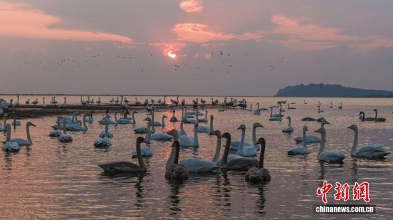 ˪r(sh)(ji)ɽ|sɴZ(gu)Ҽ(j)Ȼo(h)^(q)ӭ(li)wԽġѡȺY(ji)(du)ĴZwZ_(ki)Խ֮ã`(dng)ӰcӳȤɞB(nio)w·ϳM(mn)C(j)B(ti)L(fng)o(w)˙C(j)Ƭž z