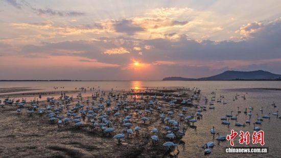 ˪r(sh)(ji)ɽ|sɴZ(gu)Ҽ(j)Ȼo(h)^(q)ӭ(li)wԽġѡȺY(ji)(du)ĴZwZ_(ki)Խ֮`(dng)ӰcӳȤɞB(nio)w·ϳM(mn)C(j)B(ti)L(fng)o(w)˙C(j)Ƭž z