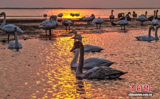 ˪r(sh)(ji)ɽ|sɴZ(gu)Ҽ(j)Ȼo(h)^(q)ӭ(li)wԽġѡȺY(ji)(du)ĴZwZ_(ki)Խ֮`(dng)ӰcӳȤɞB(nio)w·ϳM(mn)C(j)B(ti)L(fng)o(w)˙C(j)Ƭž z