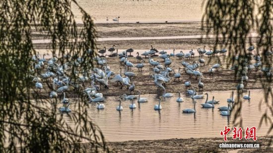 ˪r(sh)(ji)ɽ|sɴZ(gu)Ҽ(j)Ȼo(h)^(q)ӭ(li)wԽġѡȺY(ji)(du)ĴZwZ_(ki)Խ֮ã`(dng)ӰcӳȤɞB(nio)w·ϳM(mn)C(j)B(ti)L(fng)o(w)˙C(j)Ƭž z