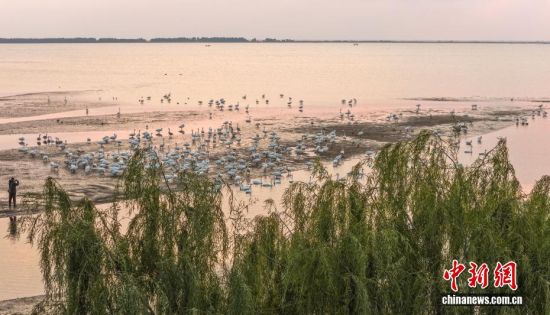 ˪r(sh)(ji)ɽ|sɴZ(gu)Ҽ(j)Ȼo(h)^(q)ӭ(li)wԽġѡȺY(ji)(du)ĴZwZ_(ki)Խ֮`(dng)ӰcӳȤɞB(nio)w·ϳM(mn)C(j)B(ti)L(fng)o(w)˙C(j)Ƭž z