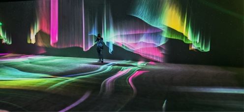 鵲華園光影秀 鵲華園光影秀