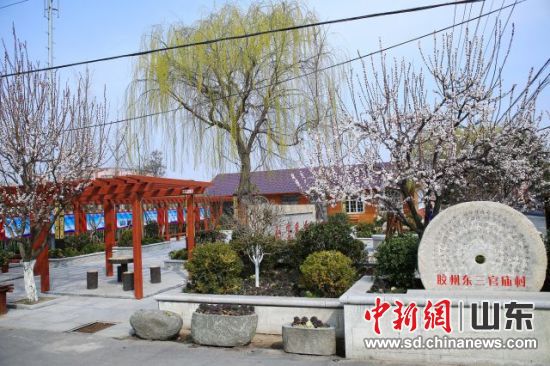 zz|ֵkُ̎RĻV zίD