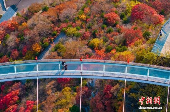 Ͳ̶Ϫɽ^(q)οڸ߿ղϸɫ z