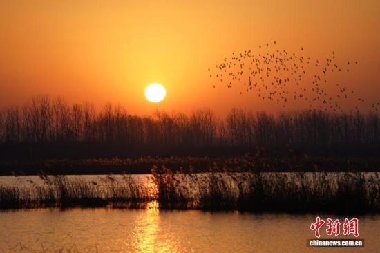 ճrʝоҰh(zhn)ع@沨wBȺY z