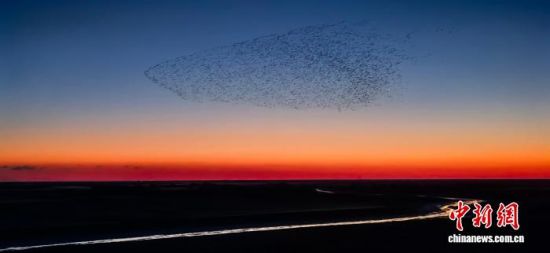 Dɽ||ISއҼȻo^(q)ġBˡ^ z