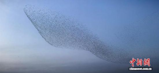 Dɽ||ISއҼȻo^(q)ġBˡ^ z