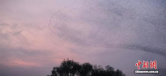 Dɽ||ISއҼȻo^(q)ġBˡ^ z