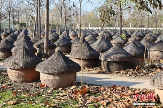 (dng)?sh)uI(y)u˸O z