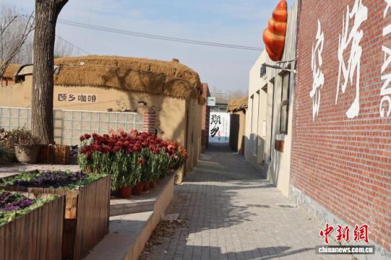 ?qun)l(xing)ȡѳɞd¡ġڡO z