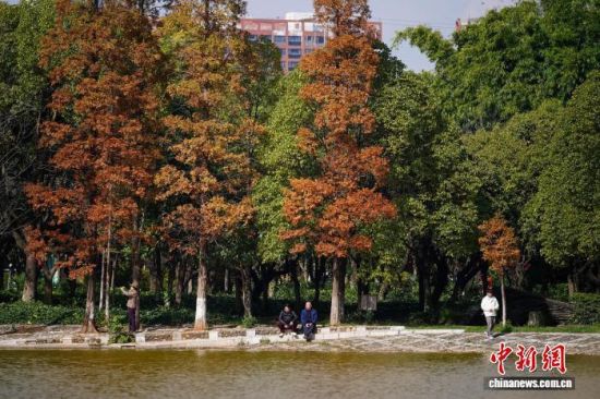 YψDDڹ@߅̫ӛ Ƚ z